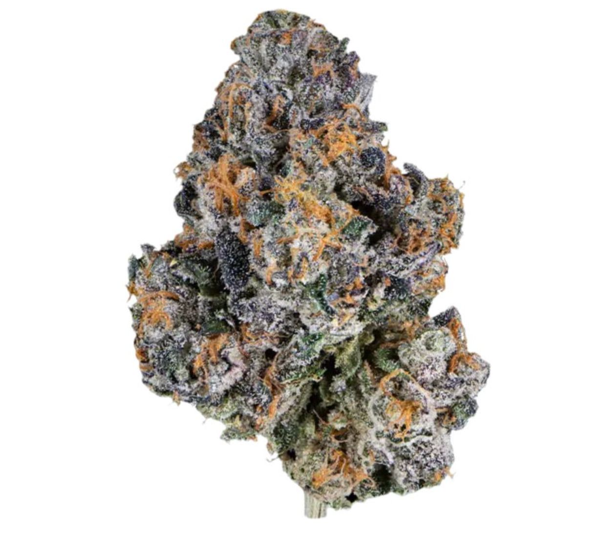 GALACTIC GUSHERS | HYBRID