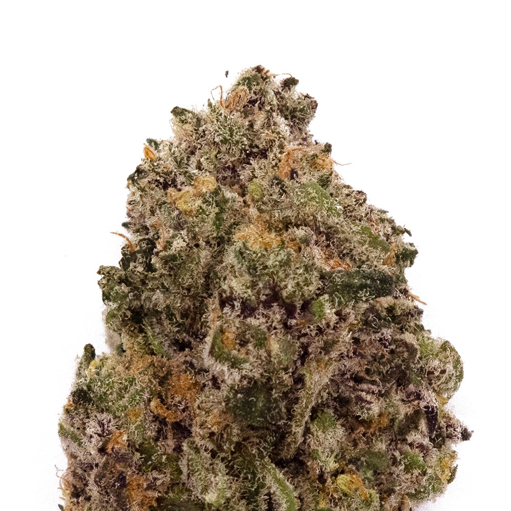 Gelato Candy Pop | INDICA view 2