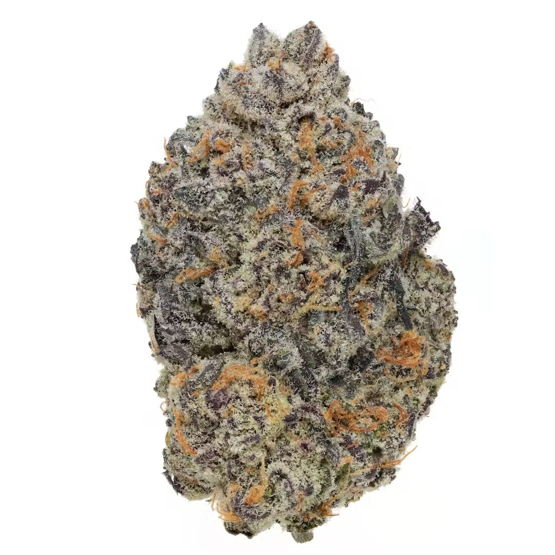 Candy Biskante | HYBRID