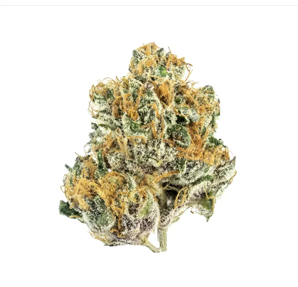 STRAWBERRY COUGH | SATIVA