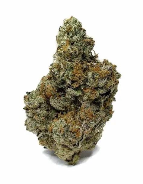 Bacio Zkittlez | HYBRID