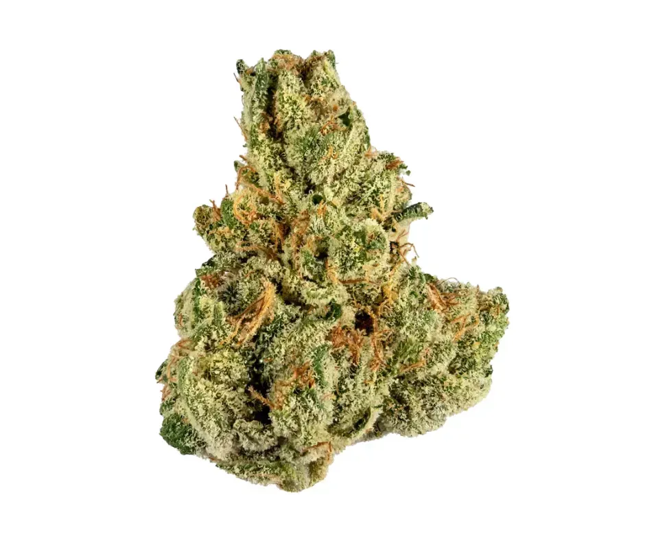 Jet Fuel | HYBRID