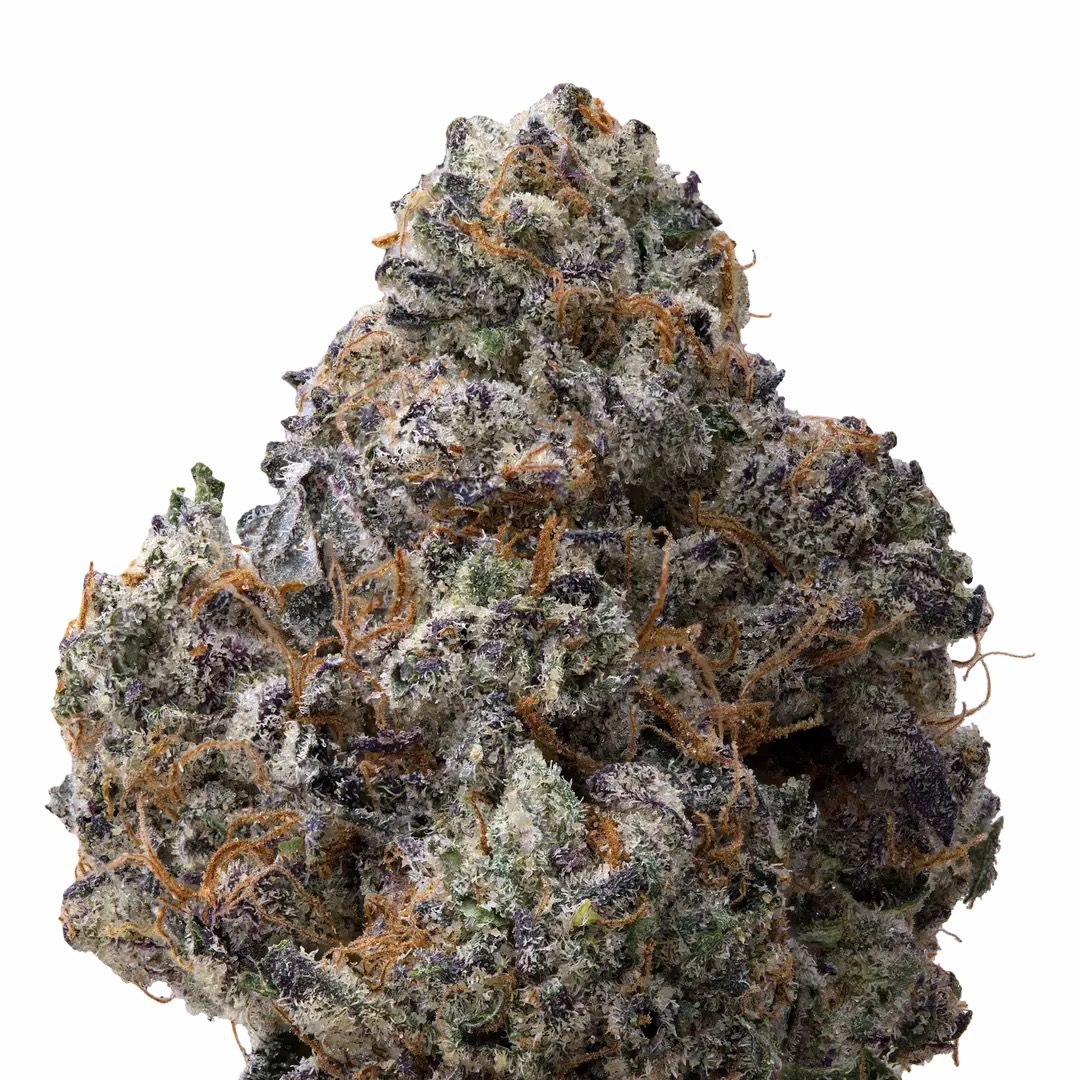 Black Cherry Gruntz | HYBRID