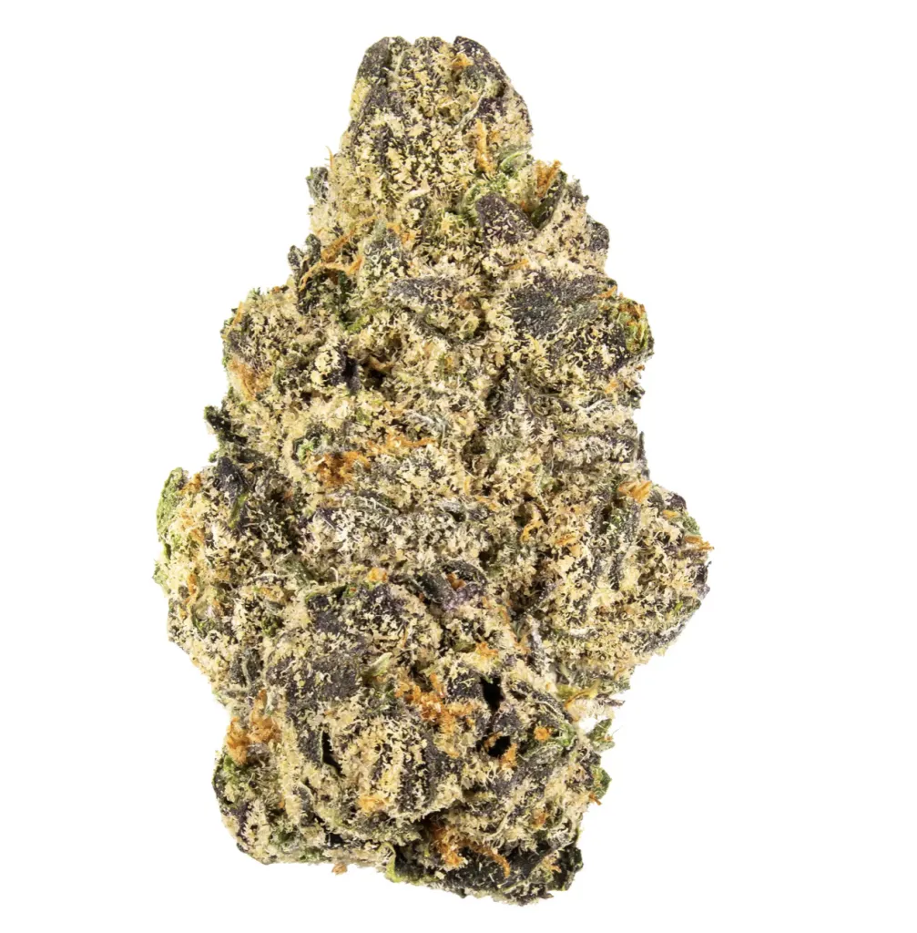 BLUE ZUSHI | HYBRID