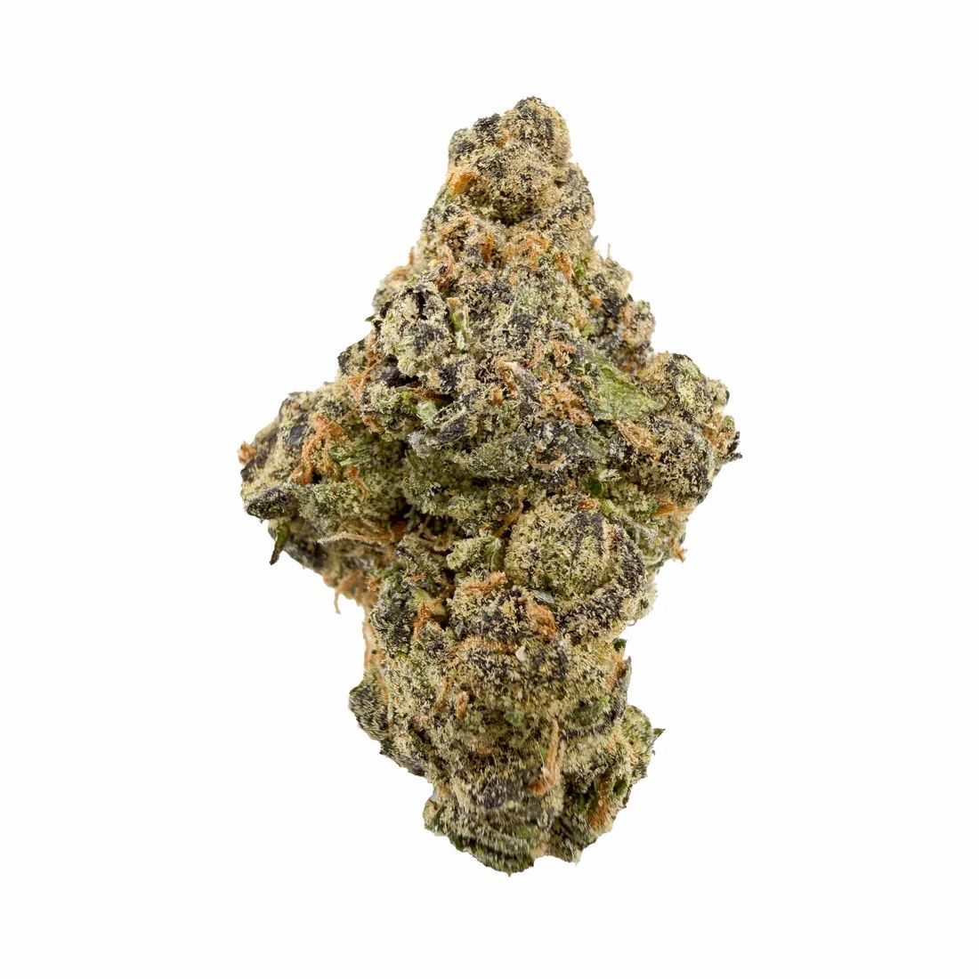 Custard Kiss | SATIVA