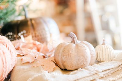 Fall &amp; Halloween Decor