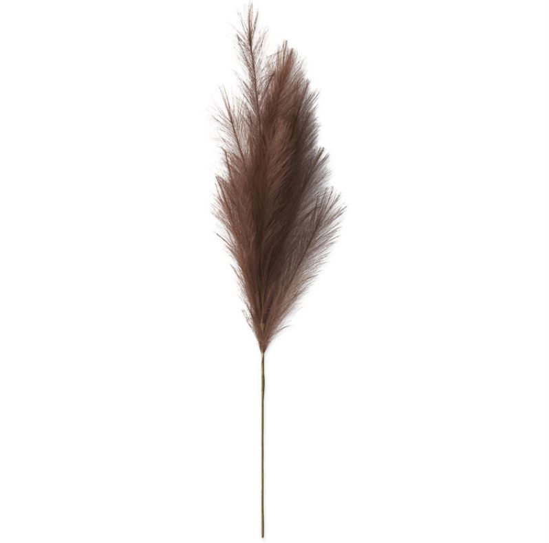 39" Dark Brown Pampas Grass Stem