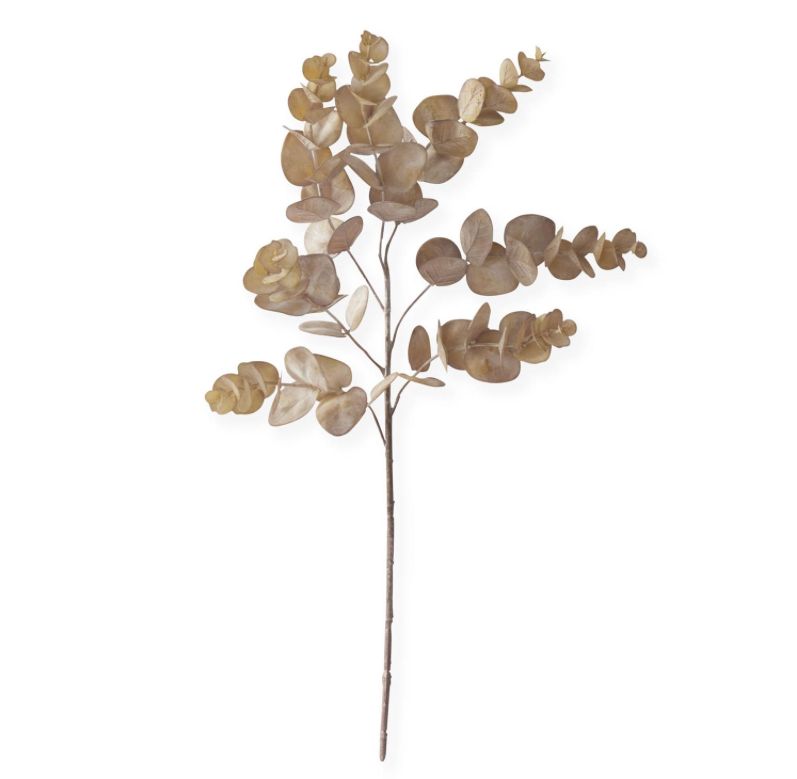 24" Brown Eucalyptus Stem