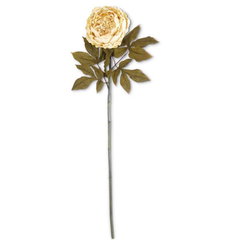 30" Cream Peony Stem