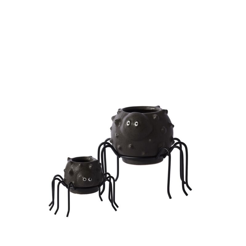Silly Spider Pot, Size: sm