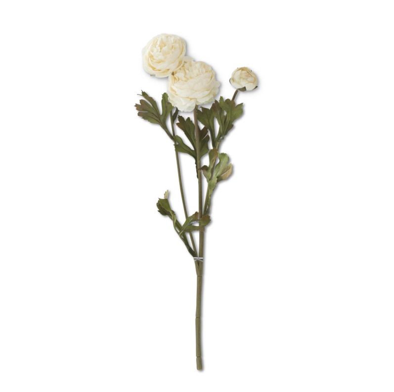 20" Cream Ranunculus Stem