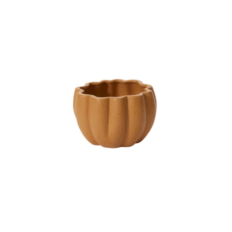 Spiced Pumpkin Pot, Size: sm