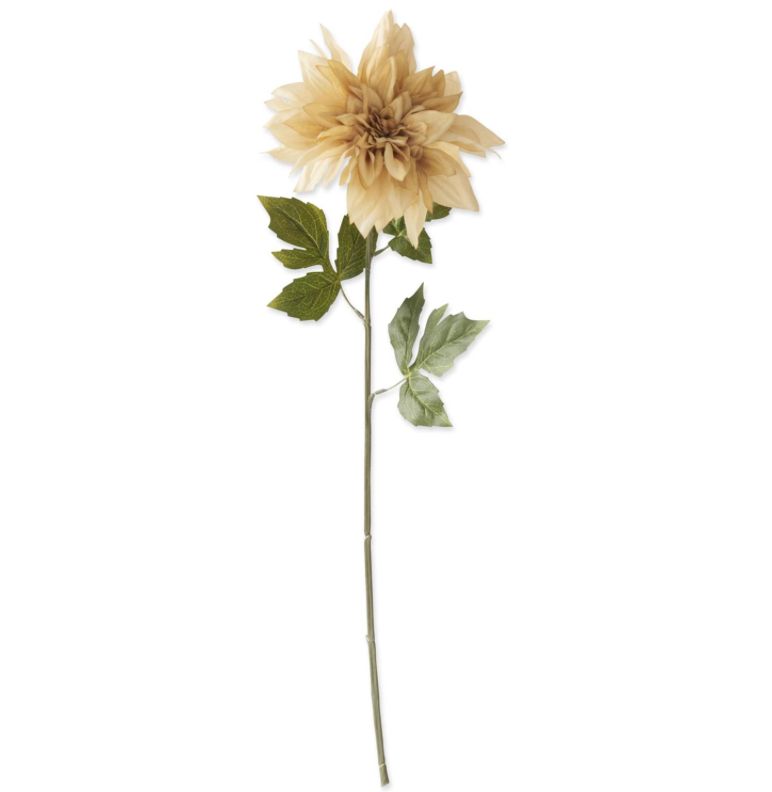 26" Cream Dahlia Stem