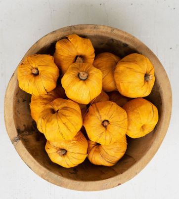 Orange Mini Pumpkin Set