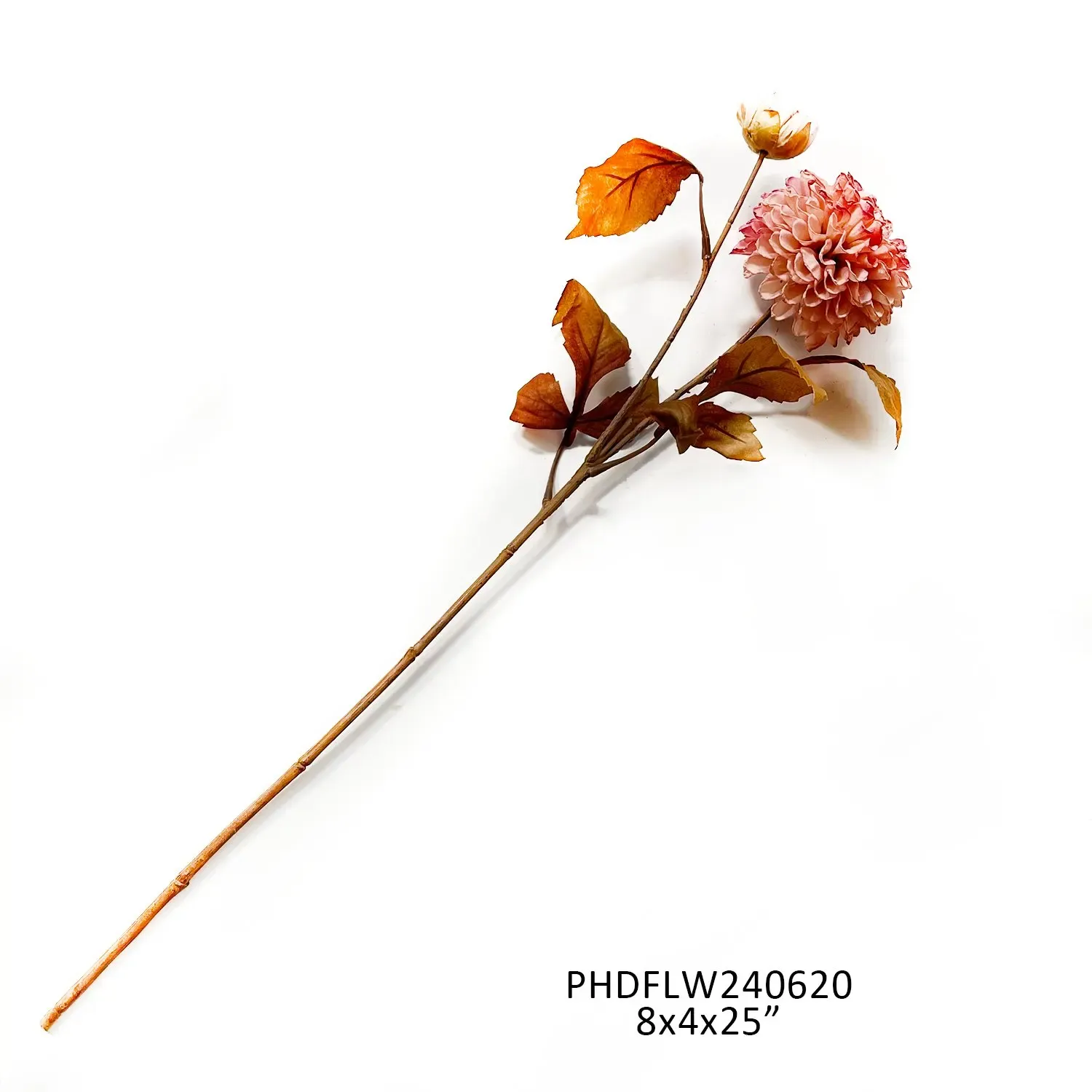 Autumn Garden Prune