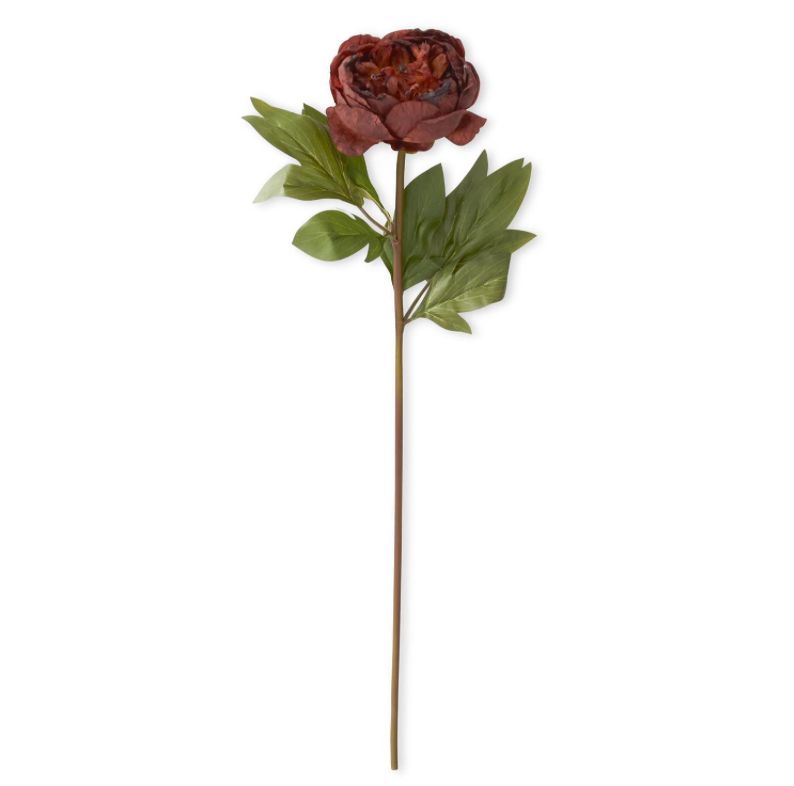 24" Rust Faux Peony Stem