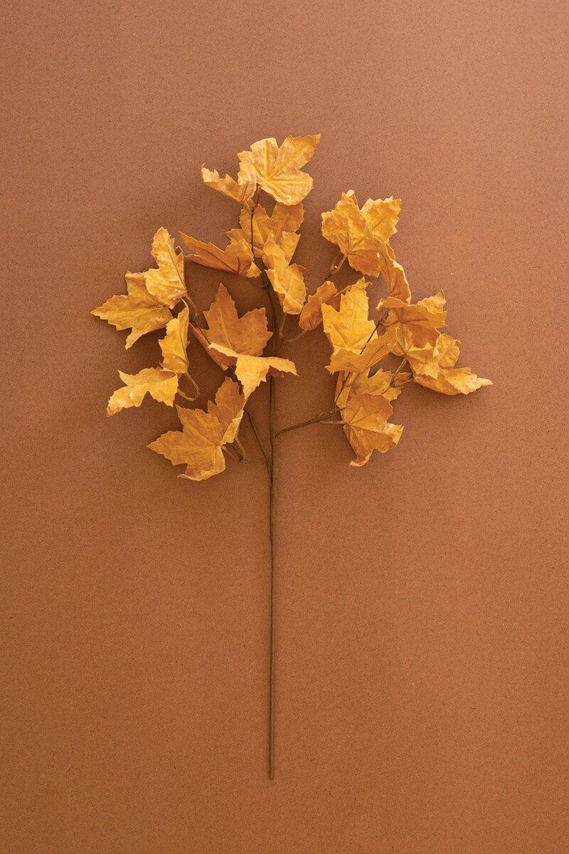 Golden Leaf Botanica