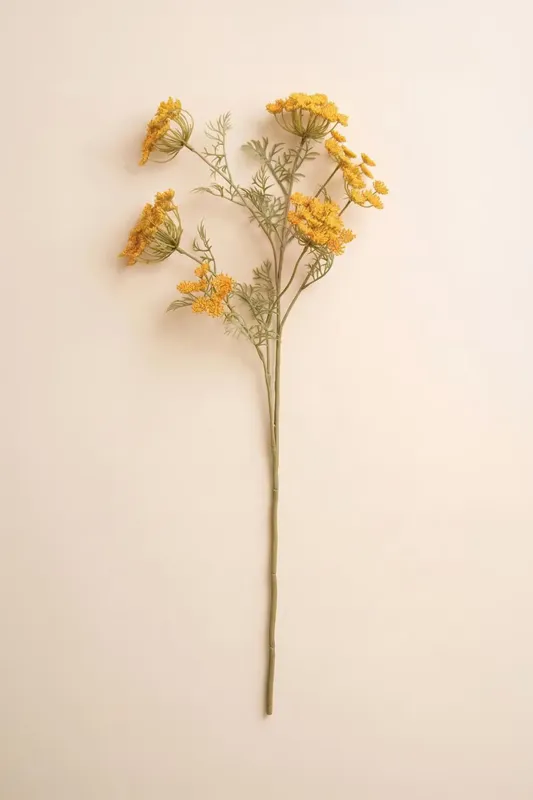 Yellow Lace Flower