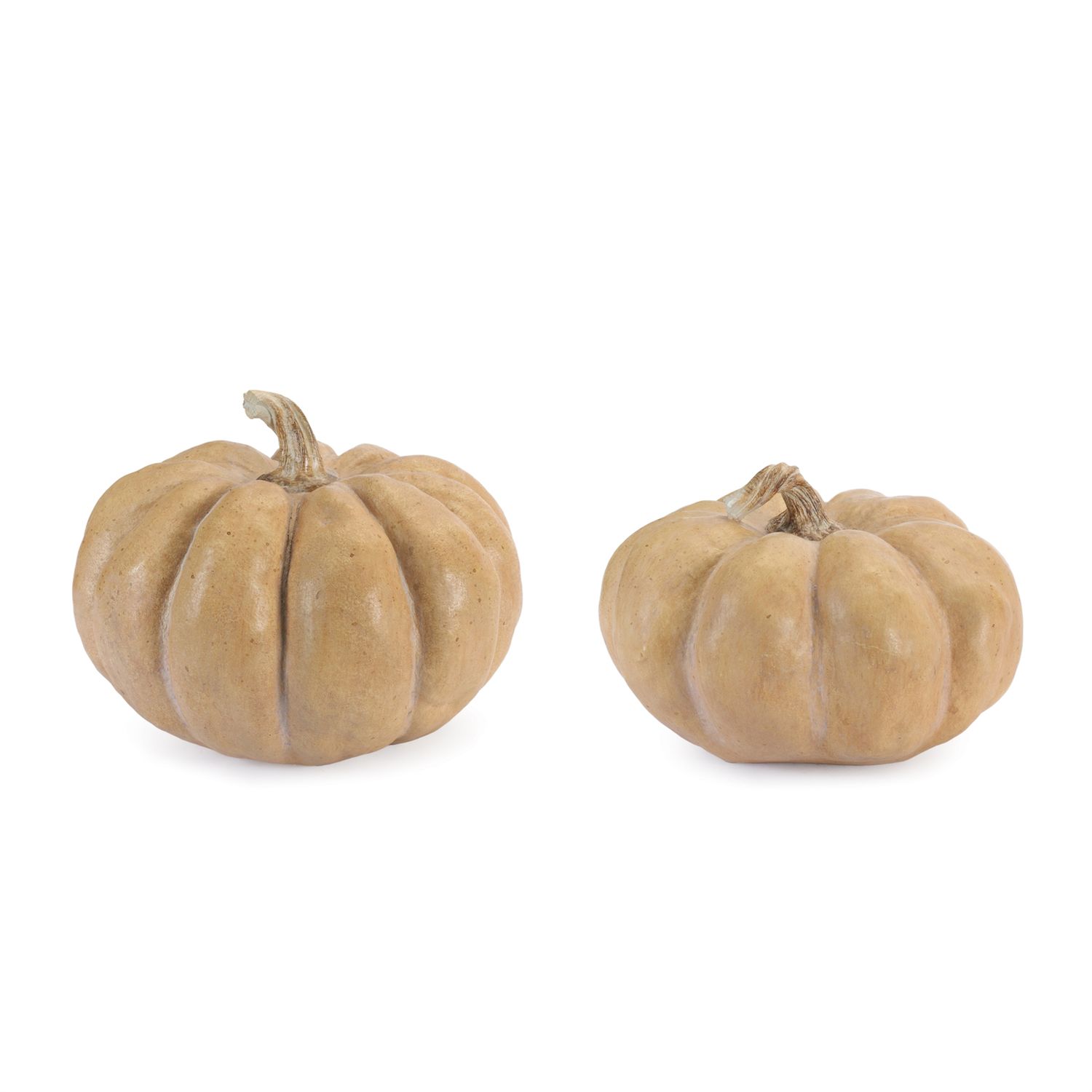 Natural Ribbed Pumpkin Large