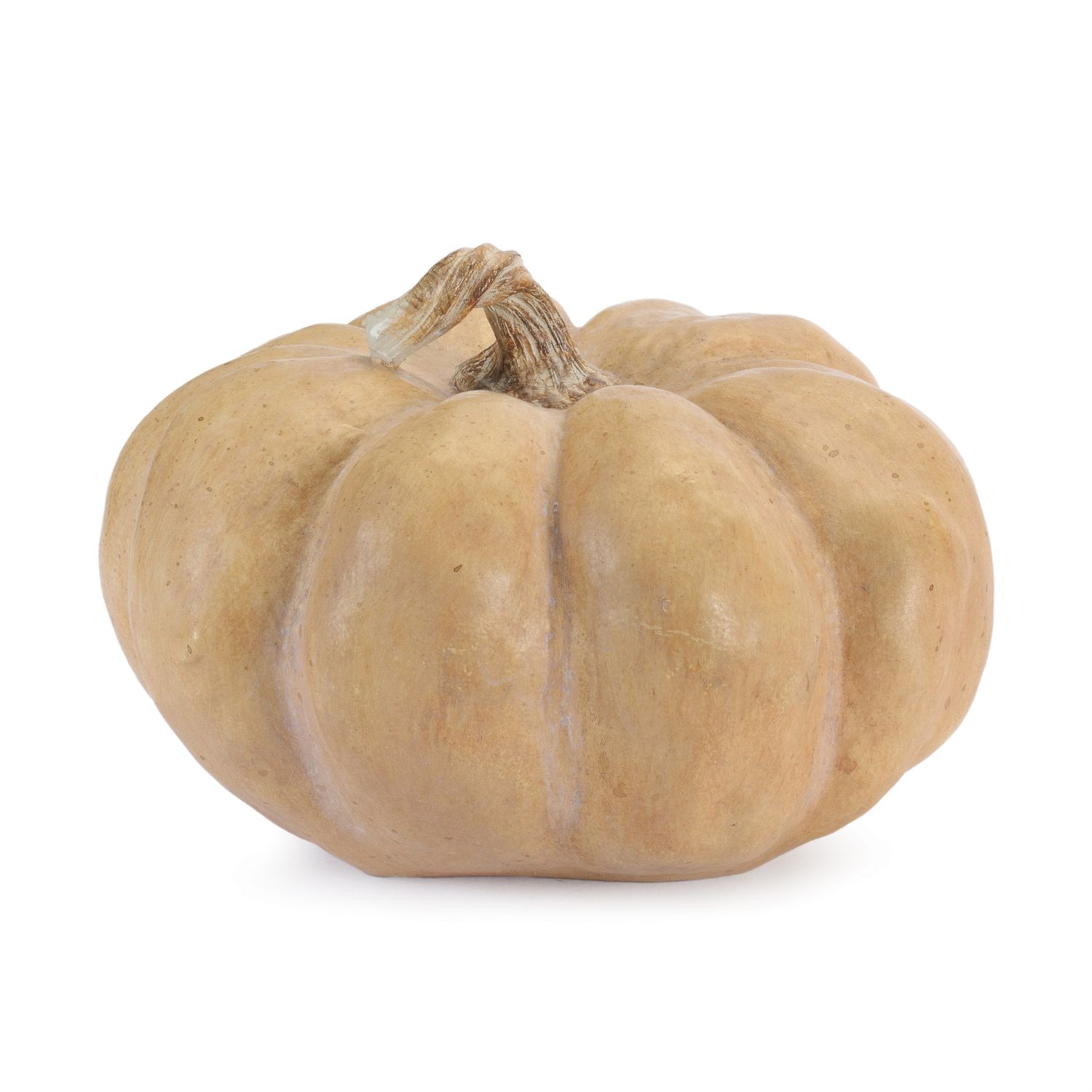 Natural Ribbed Pumpkin, Size: Small