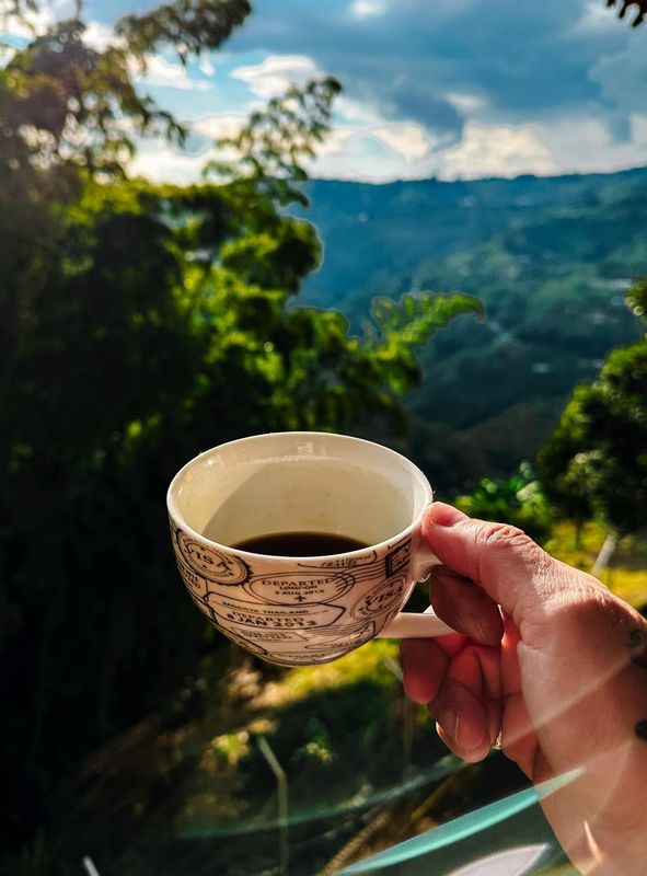 Geisha Colombia