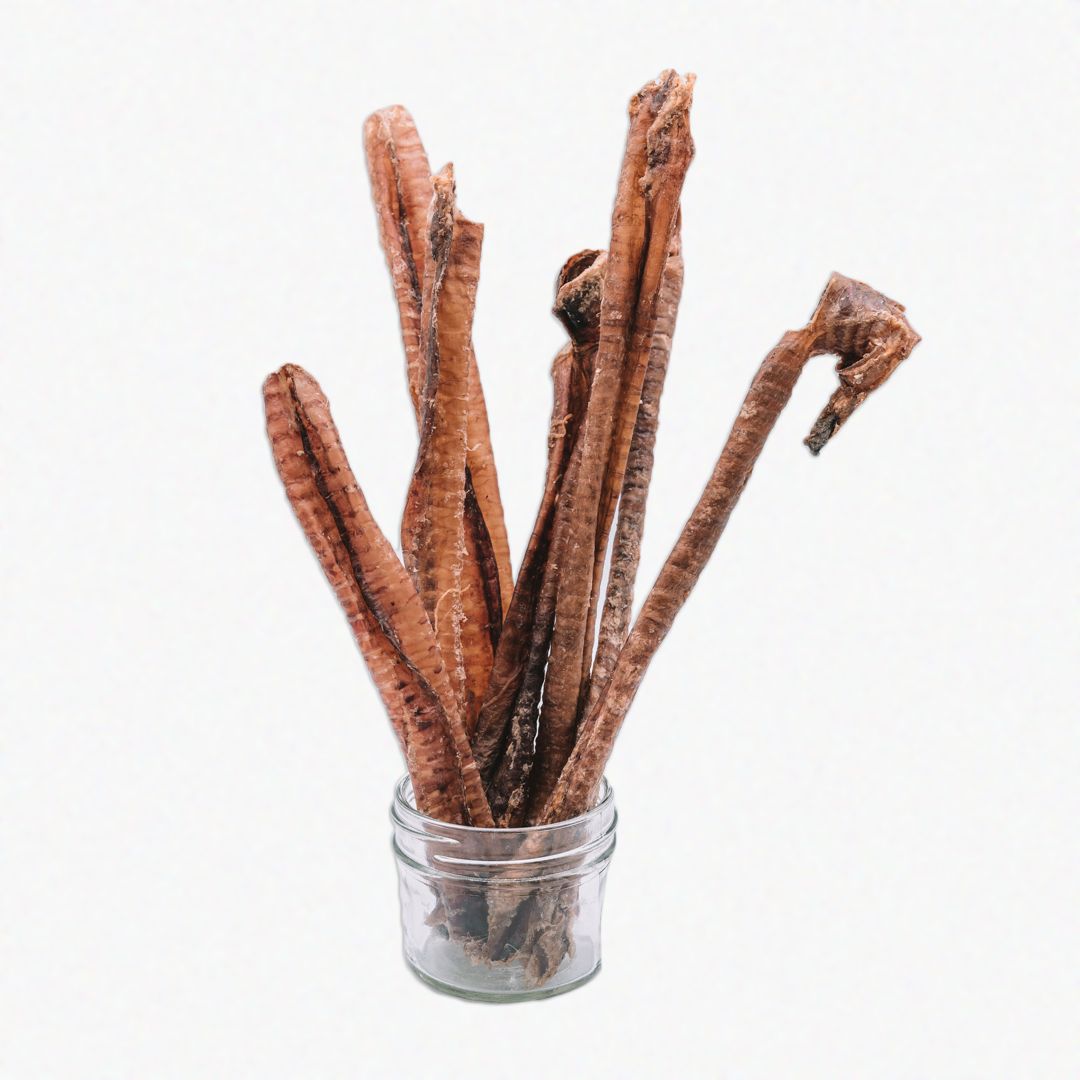 Dehydrated Lamb Trachea (4-5")