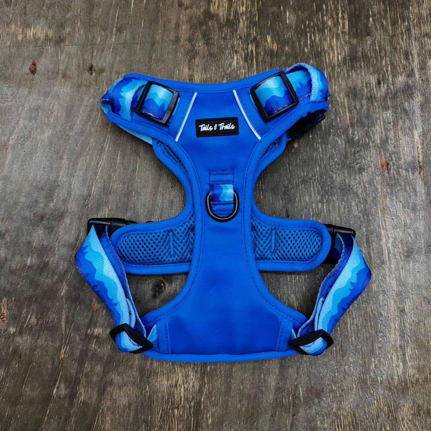 Glacier Adventure Harness: Large
