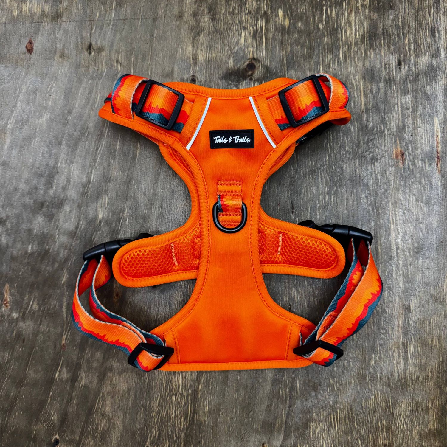 Sahara Adventure Harness: Medium