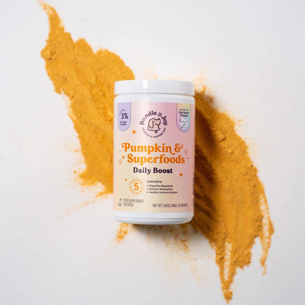 Pumpkin &amp; Superfoods Daily Boost Powder | Digestive Support