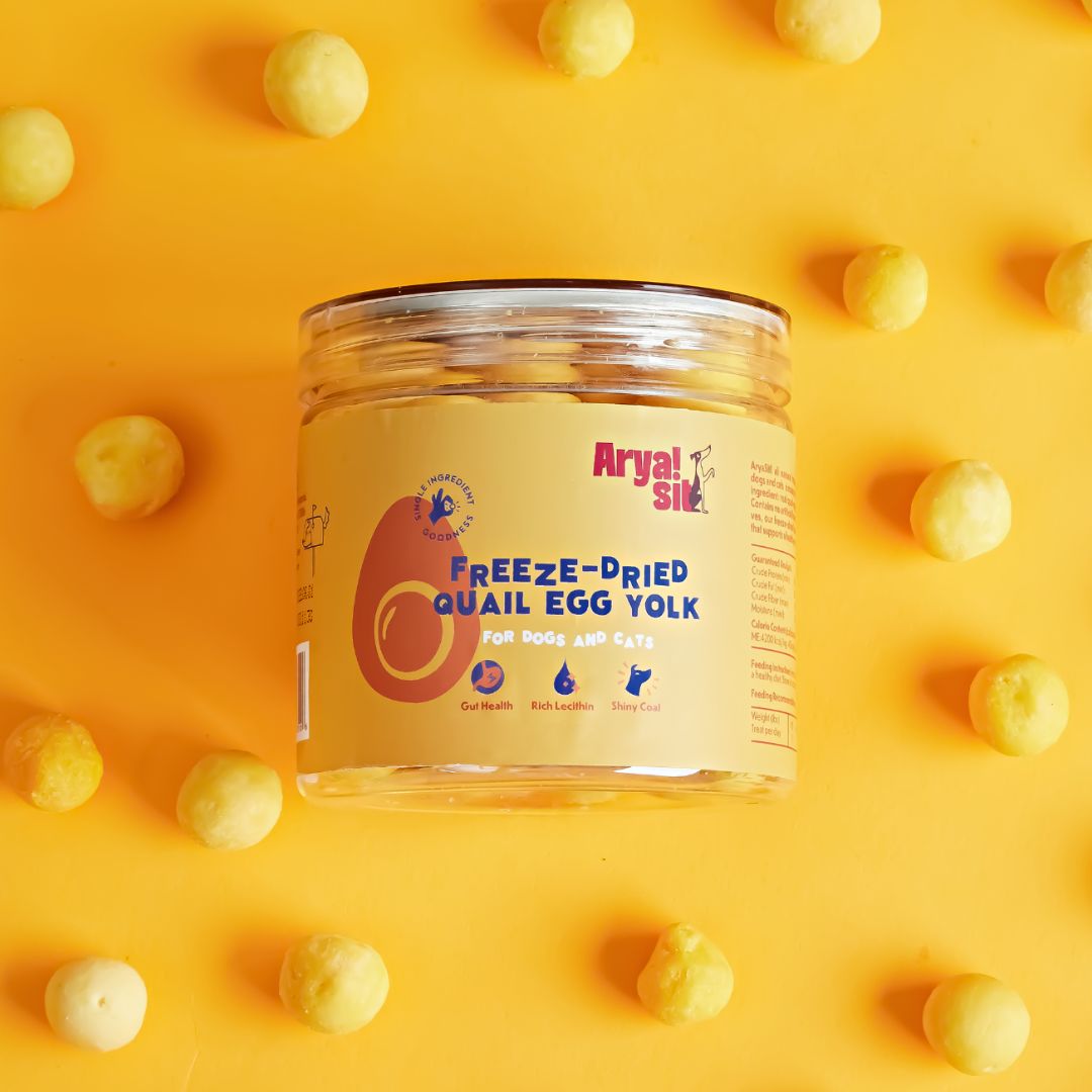 Freeze-Dried Egg Yolk: Large