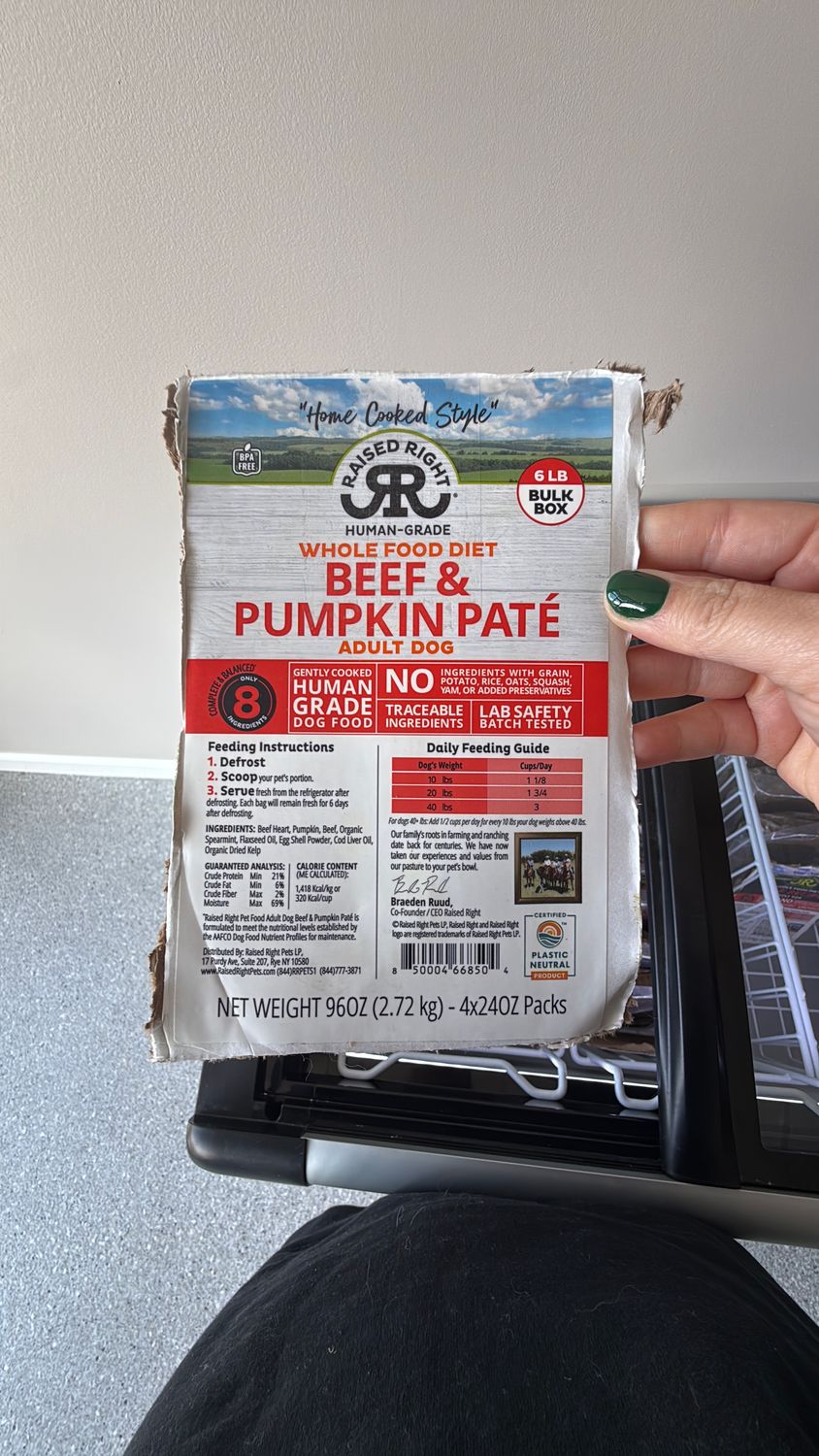 RAISE CF ADLT BF PMPKN 24OZ