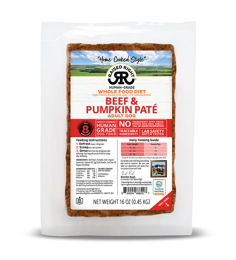 RAISE CF ADLT BF PMPKN 24OZ