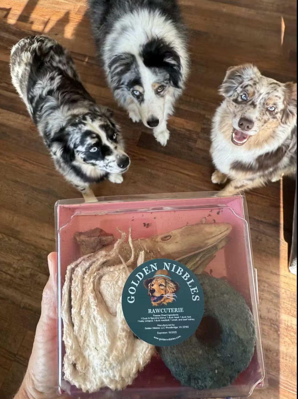RAWCUTERIE Box - Freeze-Dried Variety Box for dogs &amp; cats
