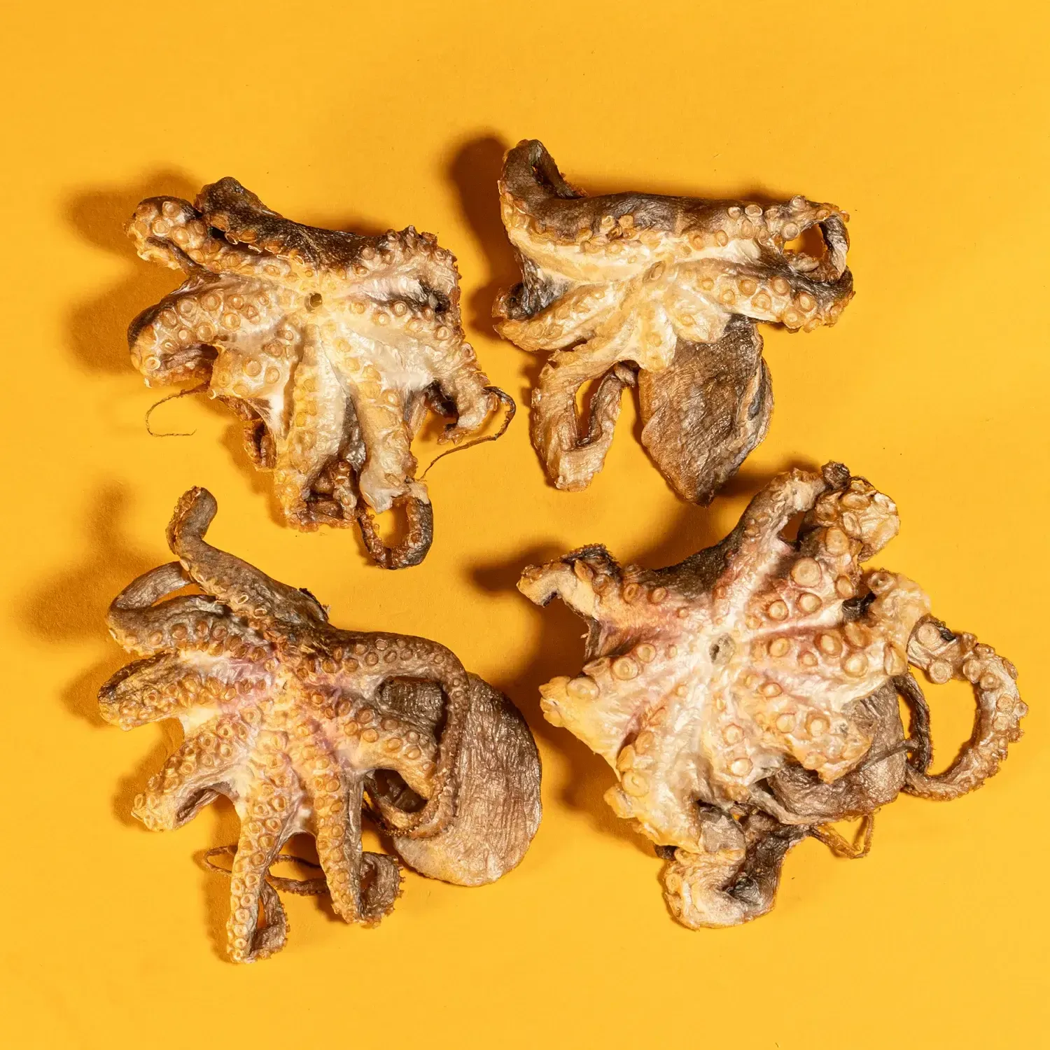 Baby Octopus - Freeze Dried Dogs &amp; Cats Treat