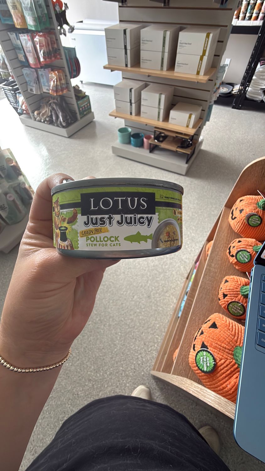 Lotus Pollock cats