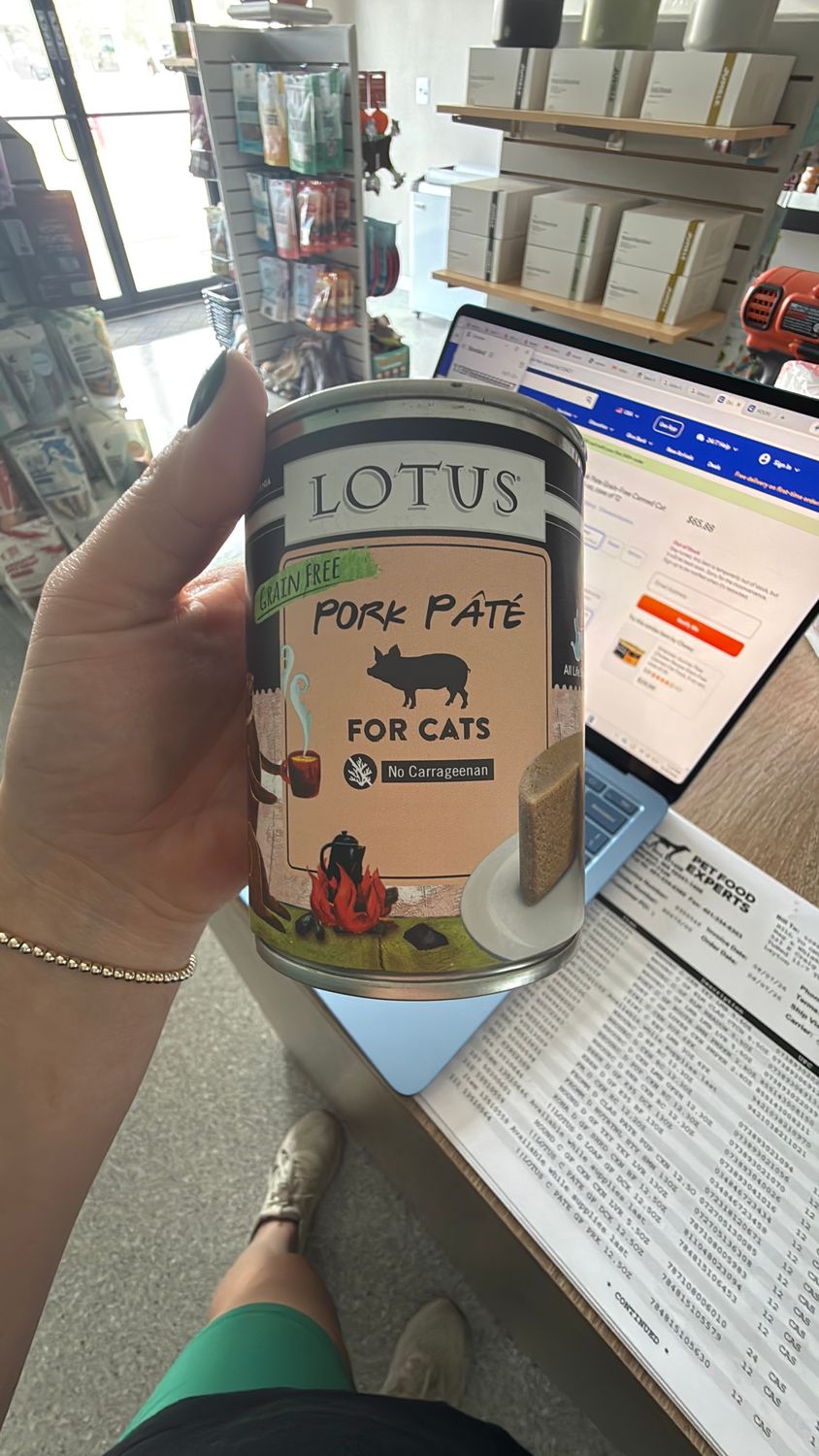 Lotus pork pate cat