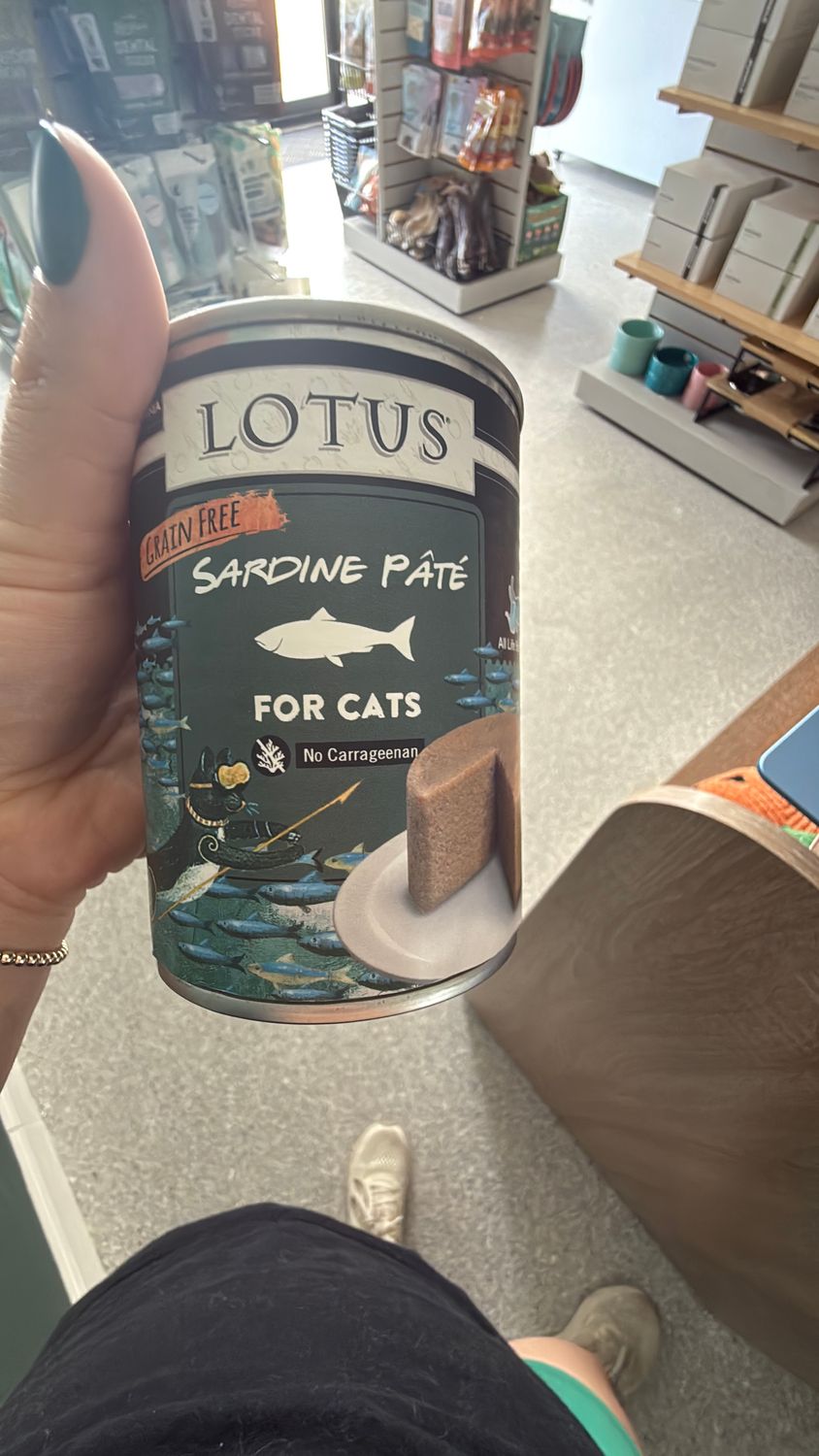 Lotus Sardine Pate cat
