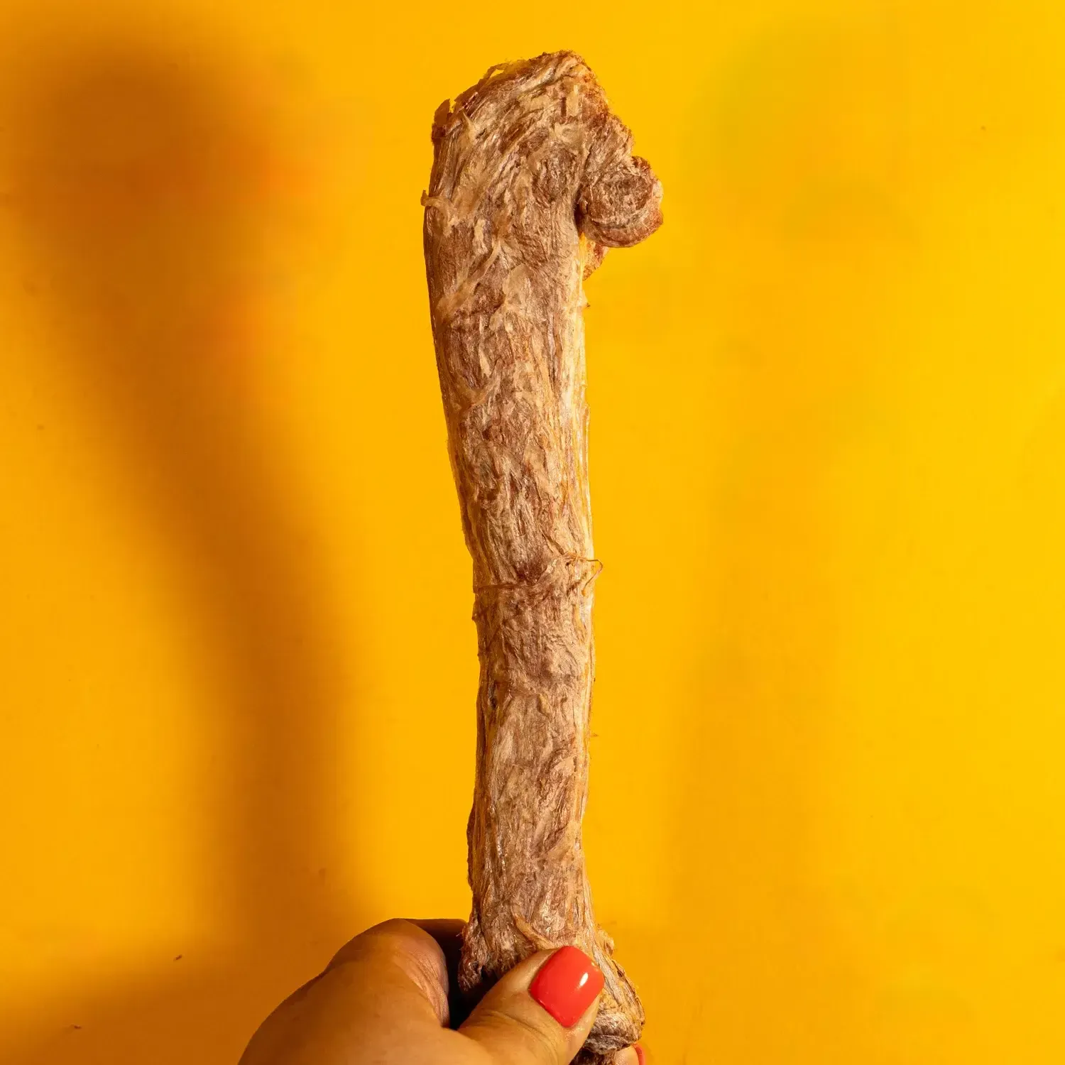 Duck Neck - Freeze-Dried Treats/Chews for Dogs: 1 Duck Neck - Unwrapped