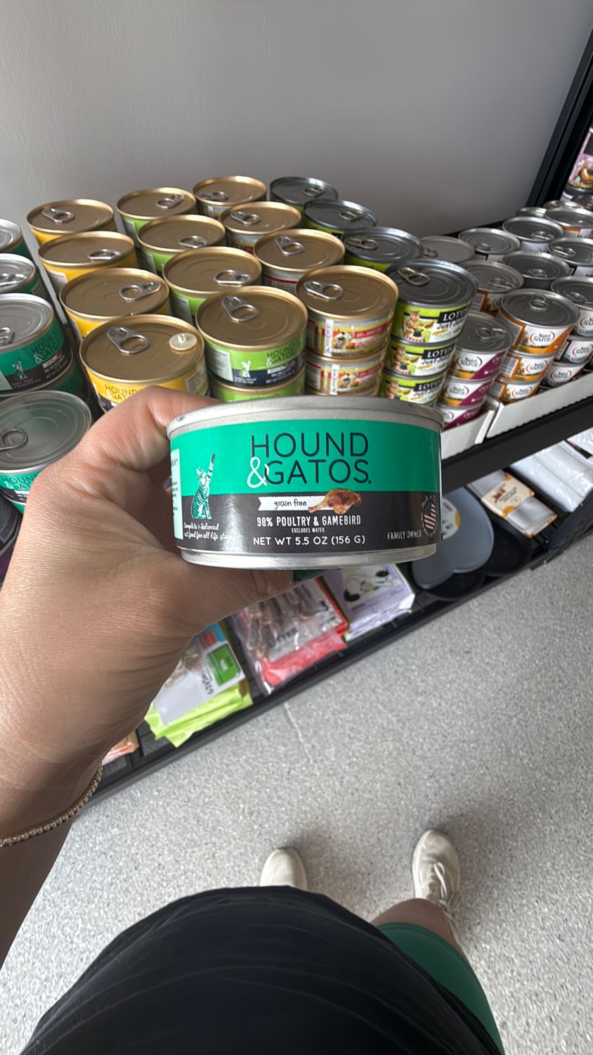 Hound &amp; Gatos gambird poultry cat