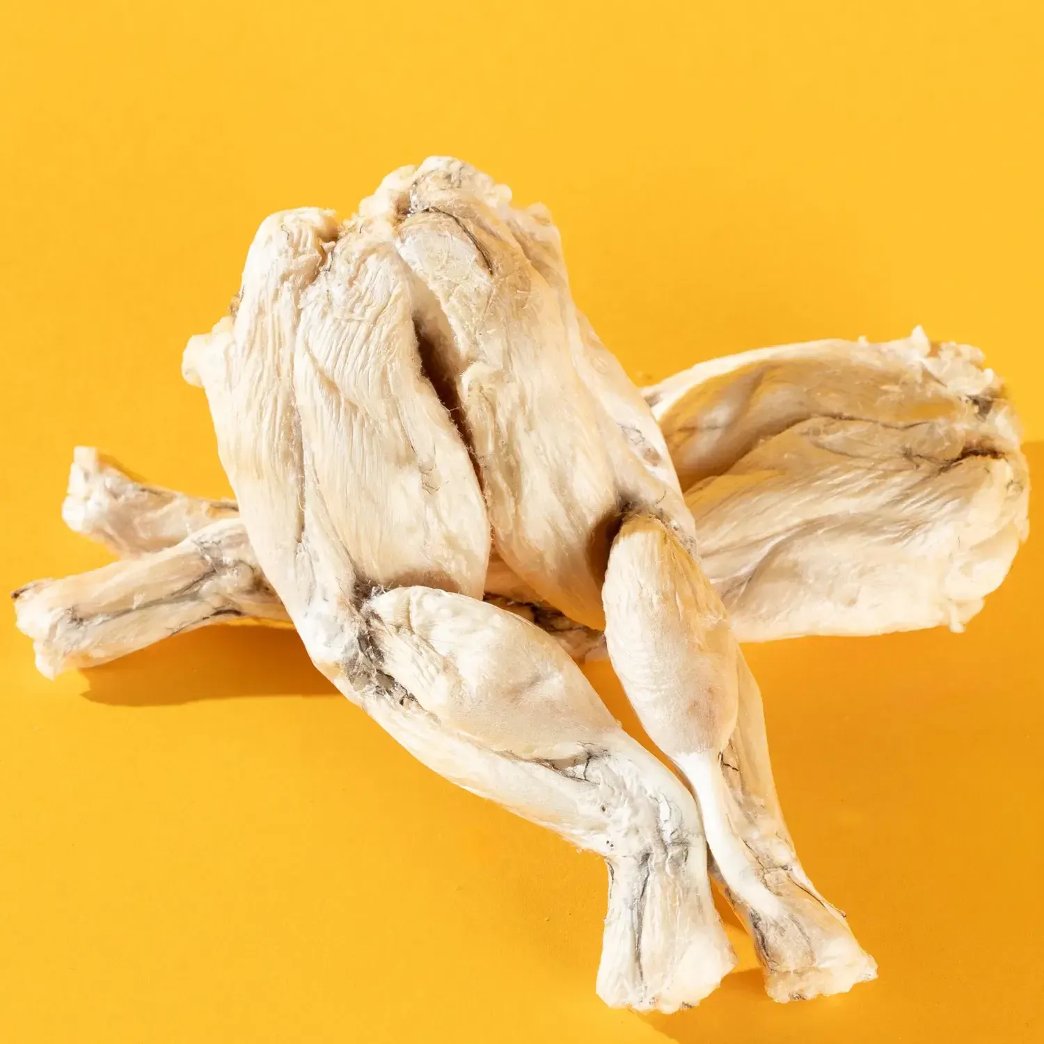 Frog Leg - Freeze-Dried Treat/Chew for Dogs &amp; Cats: 1 Frog Leg - Unwrapped