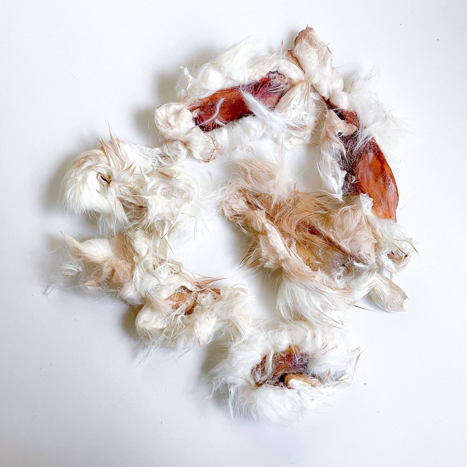 Dehydrated Rabbit Hide Chips: 3oz Rabbit Hide Chips
