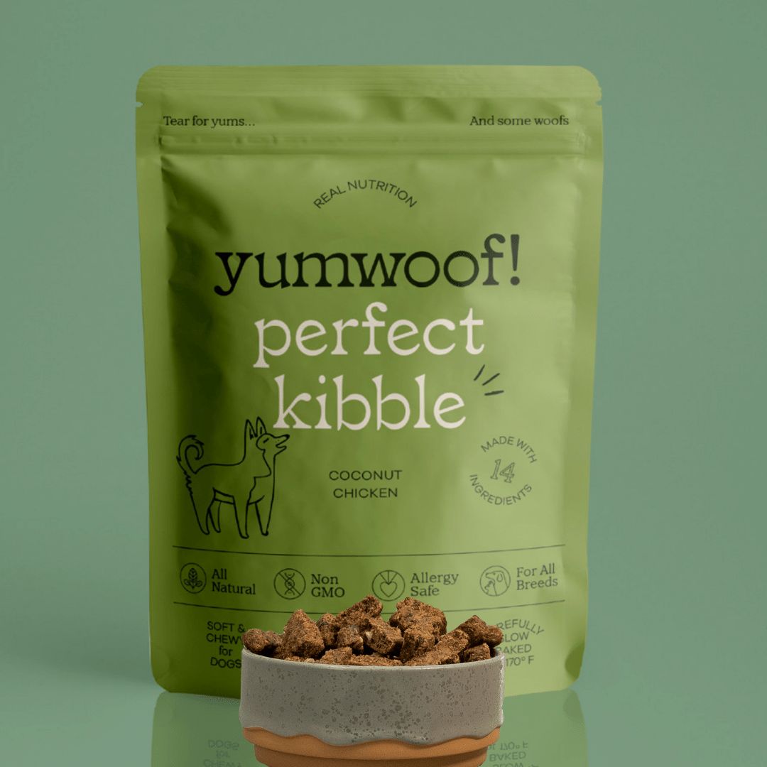 Perfect Kibble Air-Dried Dog Food: Coconut Chicken / Topper Size (14 oz)