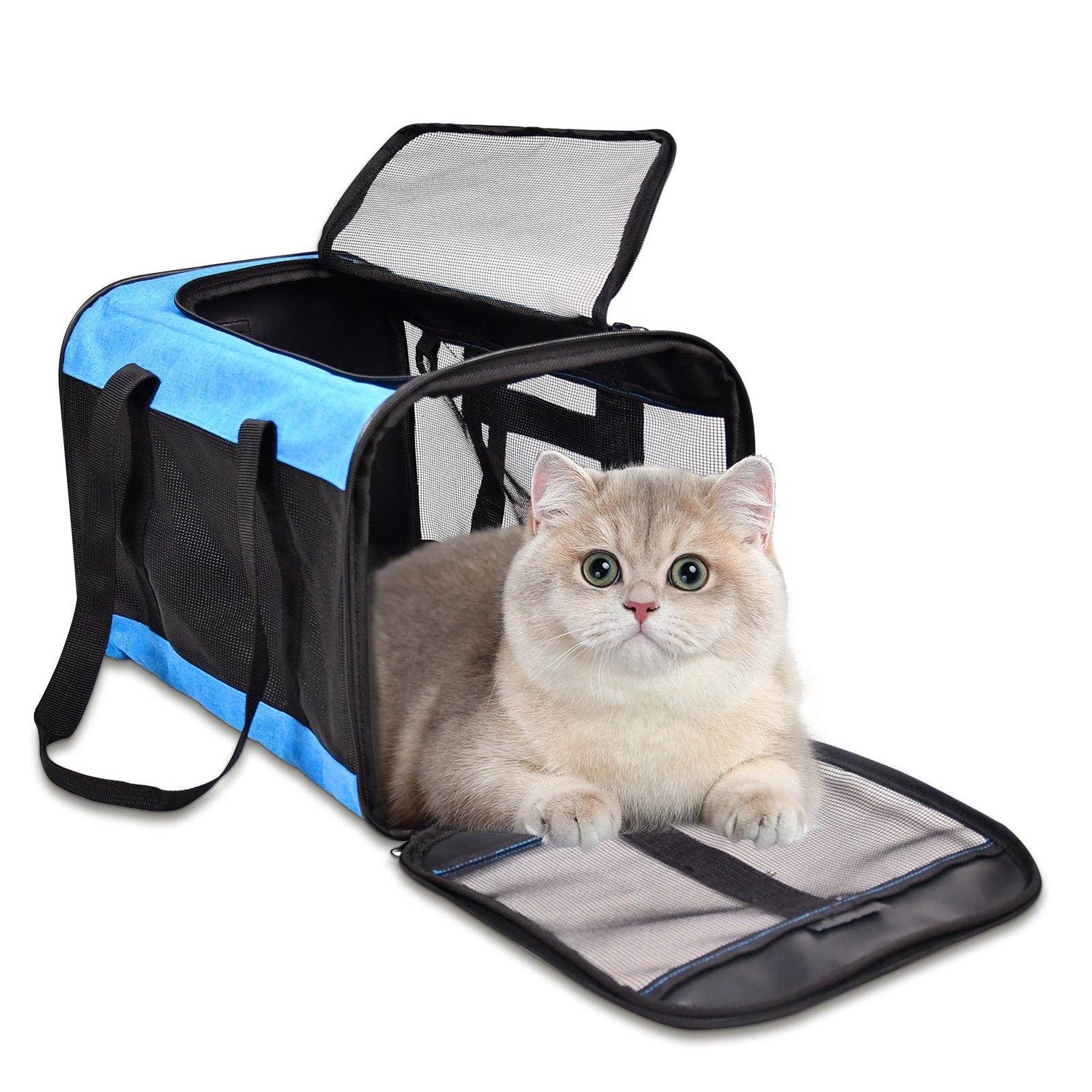 ZAKAPAWS Soft-Sided Travel Small Dog &amp; Cat Carrier Bag, Turquoise, 17'': Turquoise