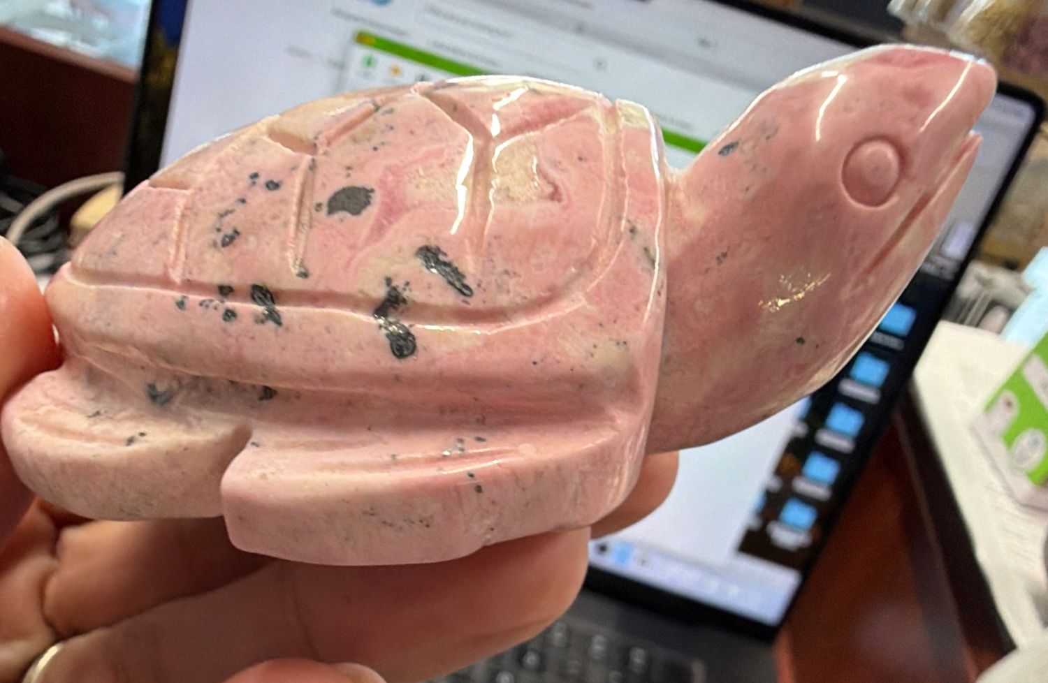 Rhodonite Turtle