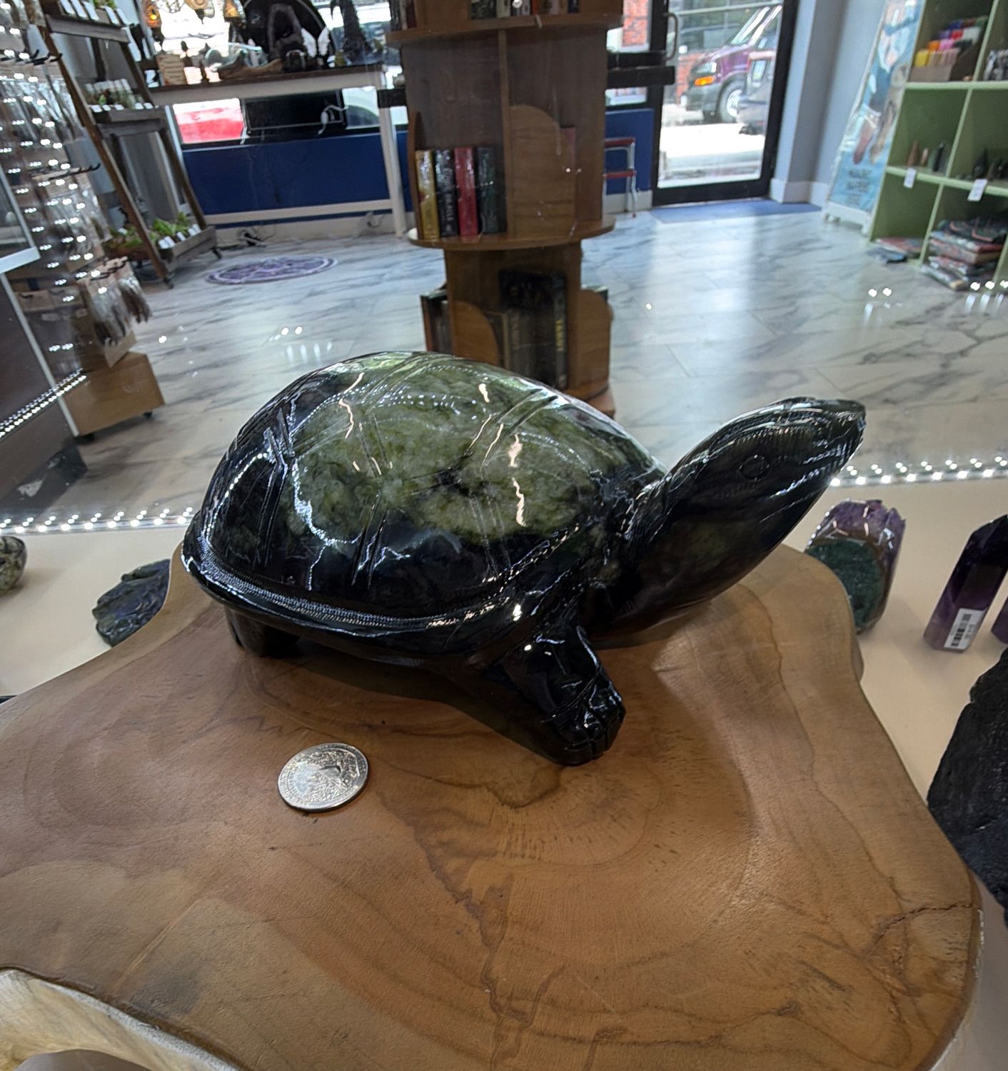 Serpentine Turtle