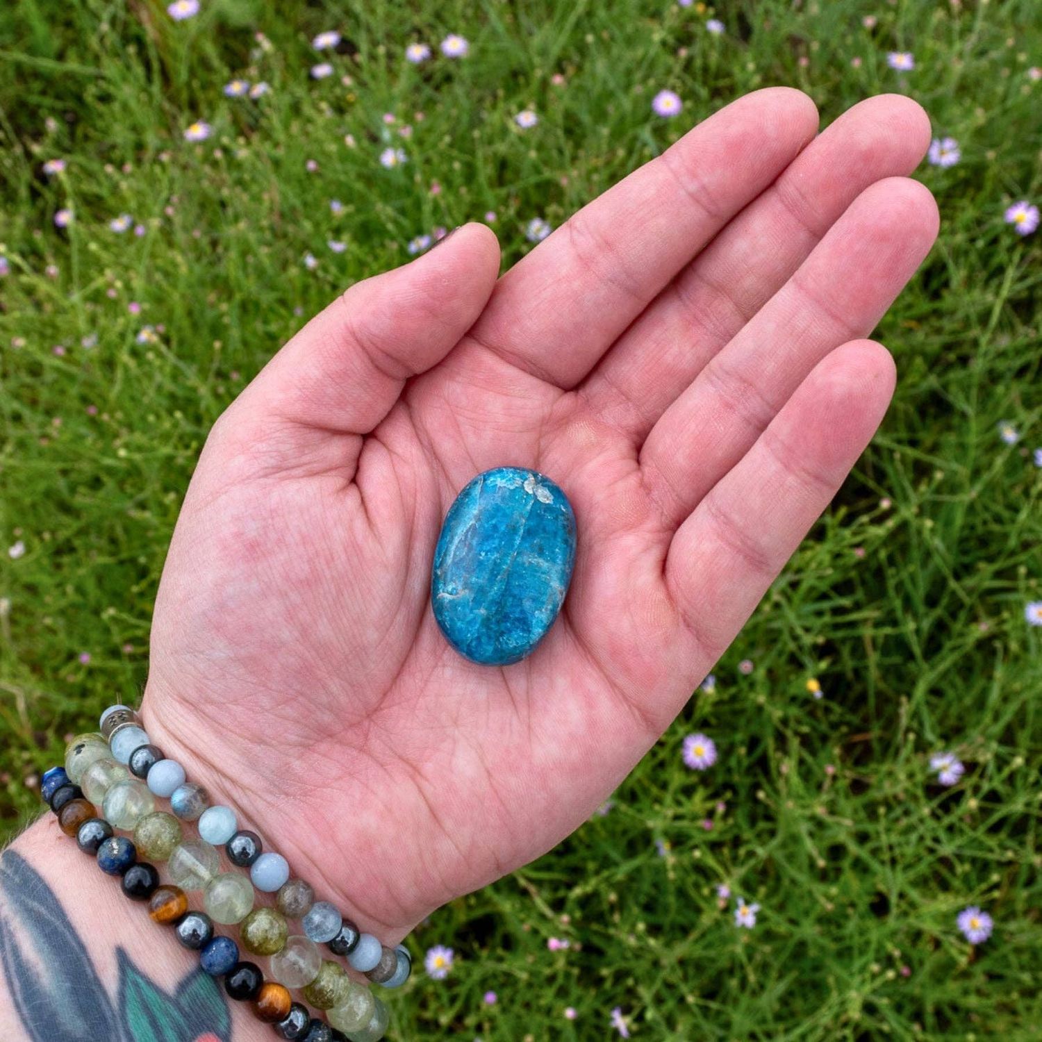 Blue Apatite Palm Stone.