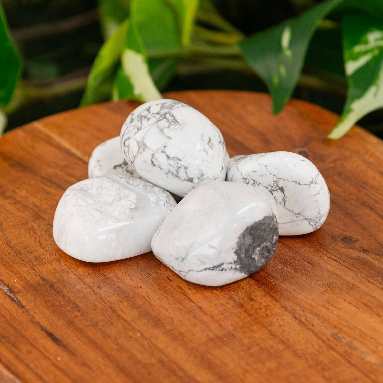 White Howlite Tumbled