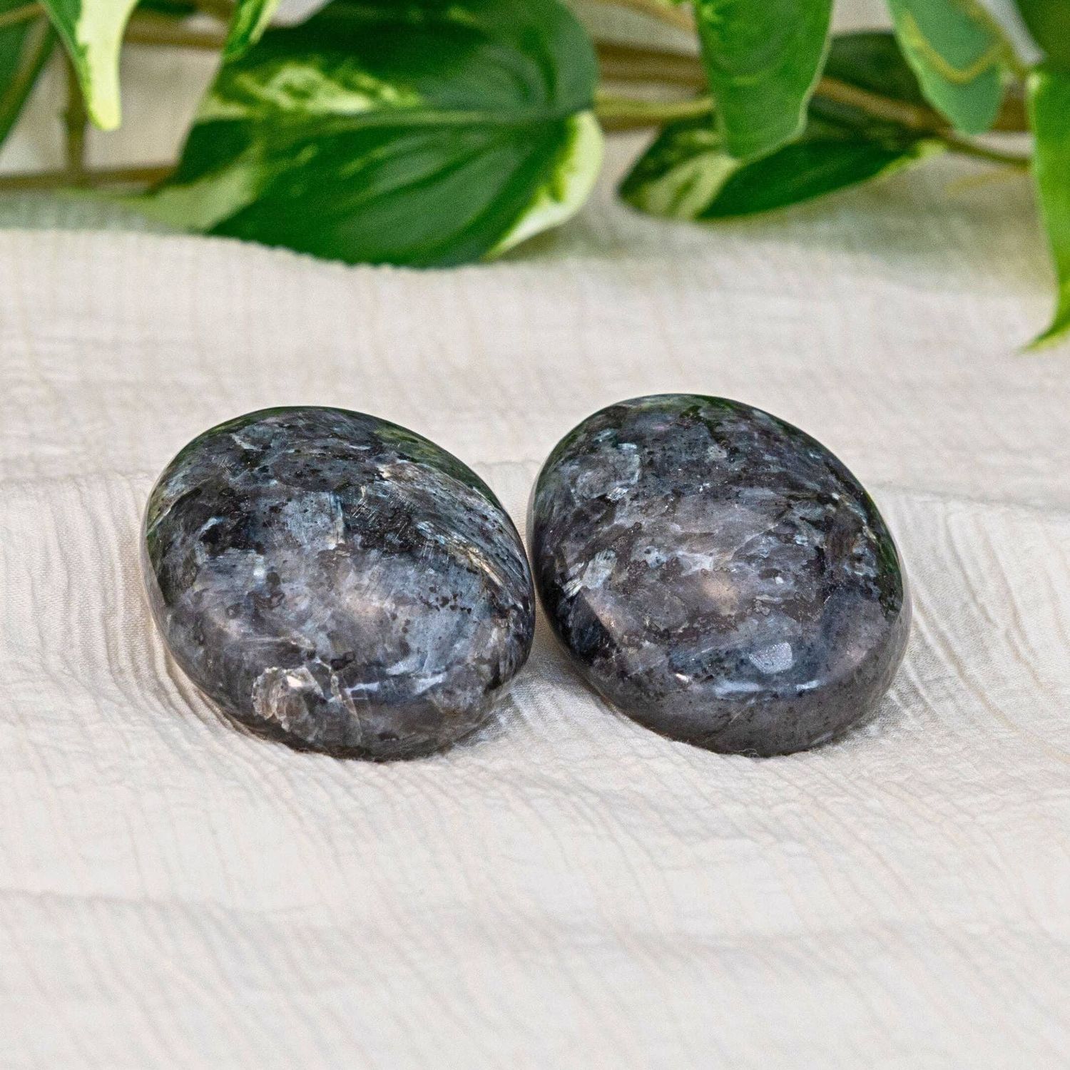 Larvikite Large Palm Stone.