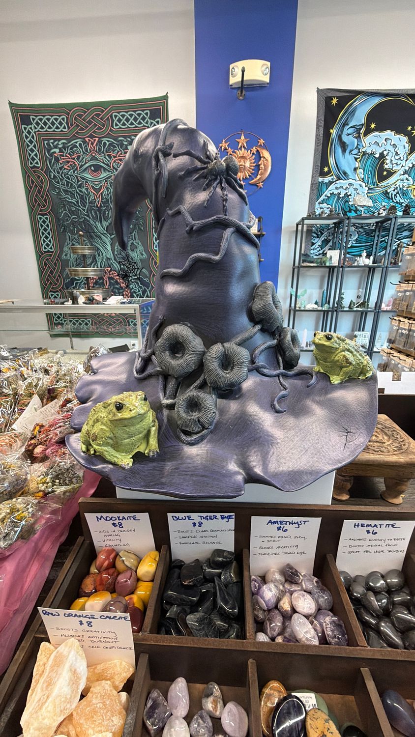 Witch’s Hat/Toads