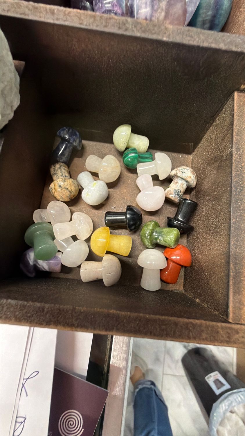 Mini Mushrooms 
